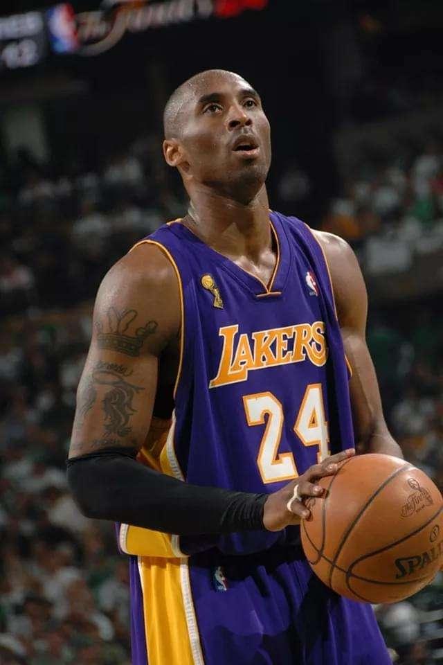 科比犬图片大全,萌态可掬的宠物明星图鉴