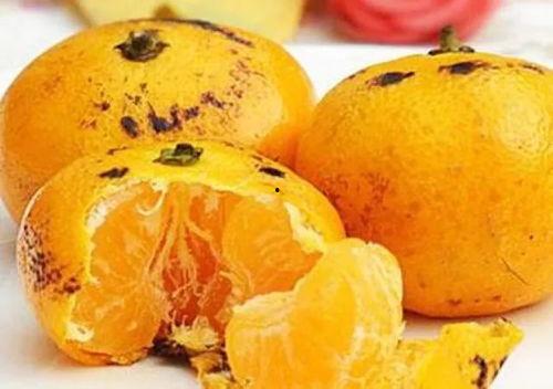 小孩吃黑蜜瓜好吗视频教程,儿童食用黑蜜瓜的益处与食用指南