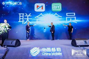 爱的新生国语版爱奇艺,爱奇艺国语版，情感纠葛中的新生力量