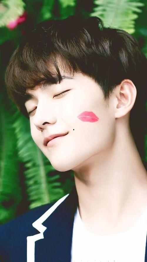 杨洋聊天背图片大全集,图片背后的故事与魅力