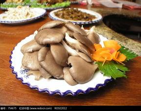 平菇图片大全,探寻菌菇王国的美味奥秘