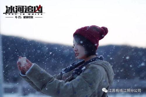 dox映画在线观看,dox映画在线观影之旅