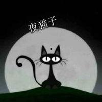 夜猫子图片大全,图片大全中的神秘夜晚