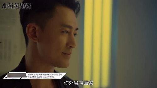 使徒行者国语版mp4