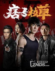 甲洞2国语版中文字幕,爱情与复仇的交织，命运之轮再次转动