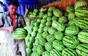 爆料吃瓜陕西,吃瓜群众揭秘幕后真相