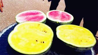 爆料吃瓜陕西,吃瓜群众揭秘幕后真相