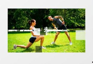 运动视频,捕捉汗水与激情的精彩瞬间