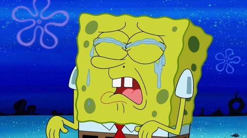 海绵宝宝视频在线观看